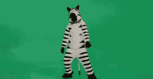 Zebra Dancing GIF - Zebra Dancing GIFs