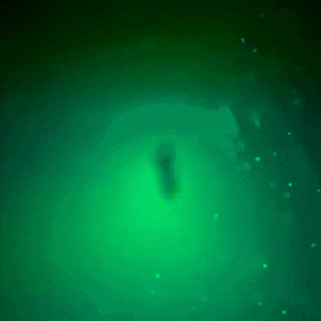 a green light is shining through a dark cave .