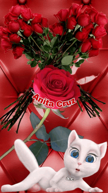 a picture of a cat laying next to a bouquet of red roses with the name anita cruz
