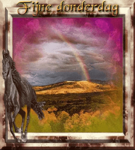 a picture of a horse with a rainbow in the background says fijne donderdag