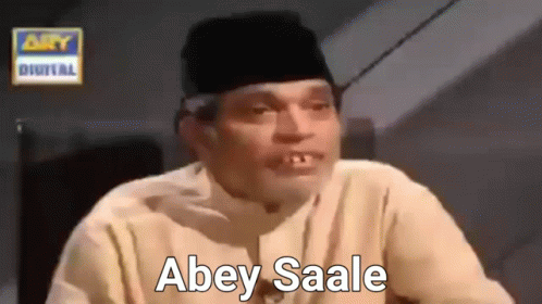 Abey Saale GIF - Abey Saale GIFs