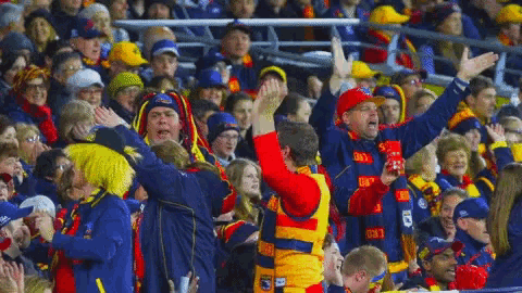 Fans Cheer GIF - Fans Cheer Adelaide Crows GIFs