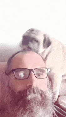 a man with glasses and a beard has a pug dog on his head .