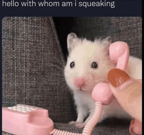 Squeaky Squack Squeaking Rat Squeaky GIF - Squeaky Squack Squeaking Rat Squack Squeaky GIFs