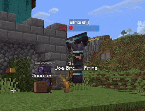 a screenshot of a video game with the name aimsey