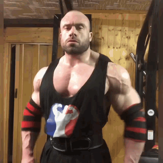 a muscular man wearing a tank top with a french flag on it