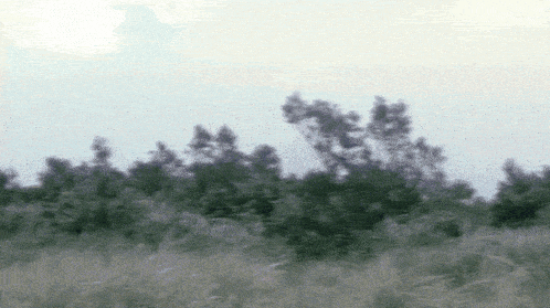 a blurry picture of trees and grass with a blue sky in the background