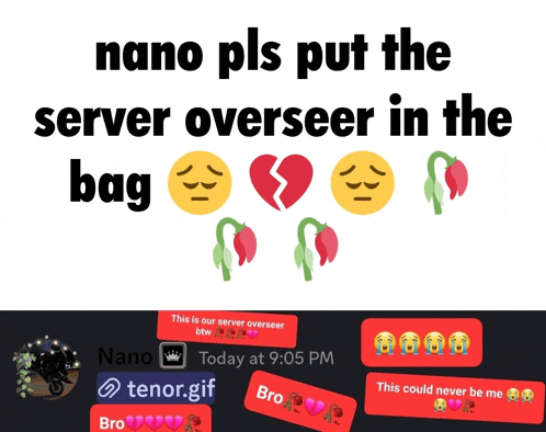 nano pls put the server overseer in the bag with emojis