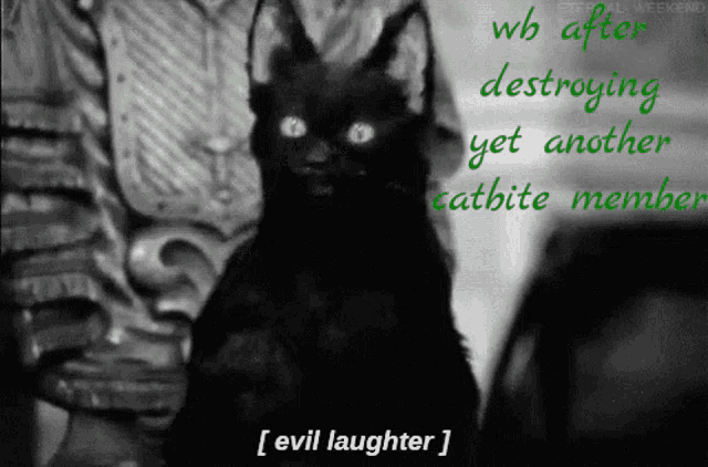 a black cat with horns and the words wb after destroying yet another catbite member [ evil laughter ]
