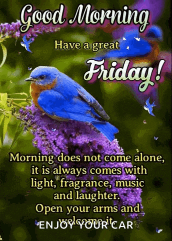 good morning have a great friday with a blue bird