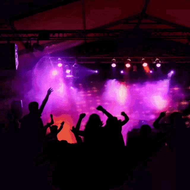 a crowd of people dancing in front of purple lights