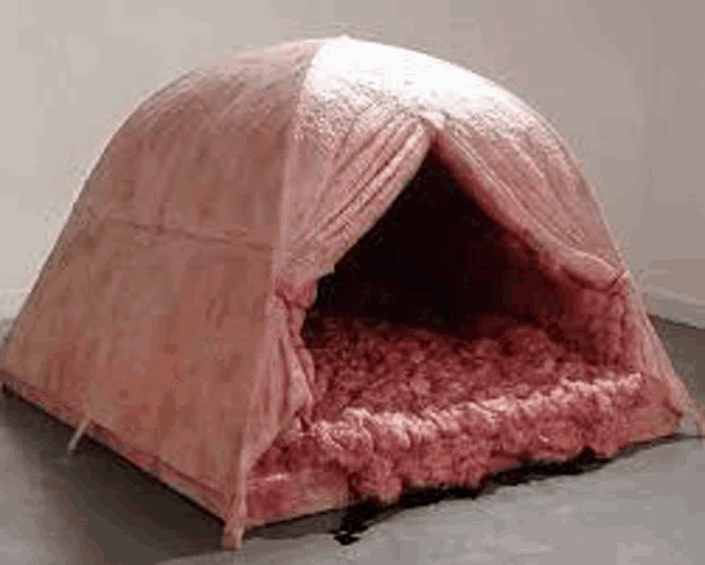a pink tent made out of meat is sitting on a concrete floor .