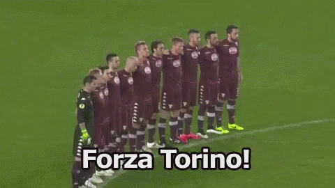 Torino Forza Squadra Calcio Uniti GIF - Torino Come On Team GIFs