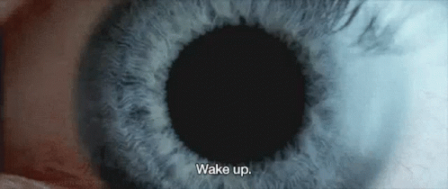 Wake Up GIF - Wake Up Wakeup GIFs