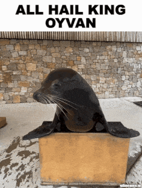 Seal King GIF - Seal King GIFs