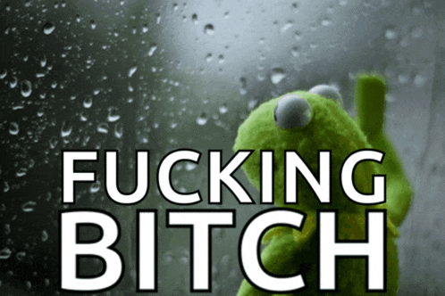a kermit the frog looking out a window with the words fucking bitch