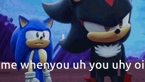 Sonic The Hedgehog Shadow The Hedgehog GIF - Sonic The Hedgehog Shadow The Hedgehog Me When You GIFs
