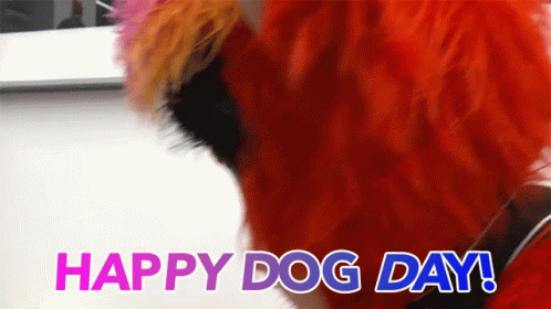 Happy Dogs Day National Dogs Day GIF - Happy Dogs Day Dogs Day National Dogs Day GIFs