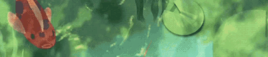 a painting of a fish swimming in a pond with a green background
