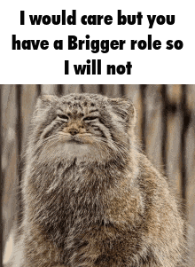 Brigger Msa GIF