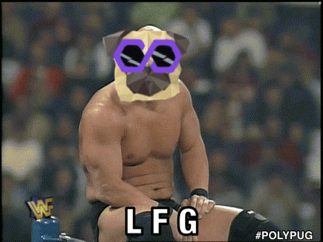 a man with a pug mask on his head says lfg on the bottom