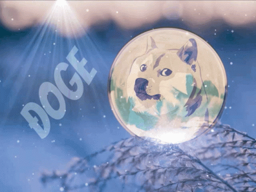 Dogemas Merry Doge GIF - Dogemas Merry Doge Merry Dogemas GIFs