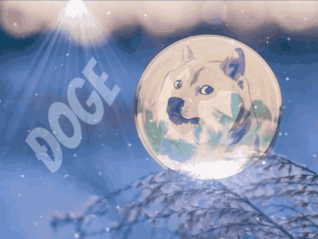 a doge coin with a dog on it