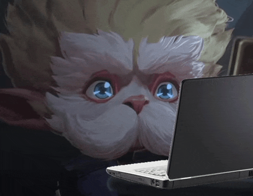 a laptop with a picture of a cat with blue eyes behind it