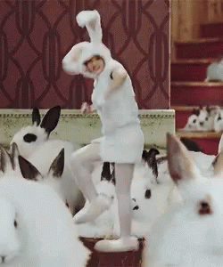 Rabbit Rabbit Running Man GIF - Rabbit Rabbit Running Man Costume GIFs