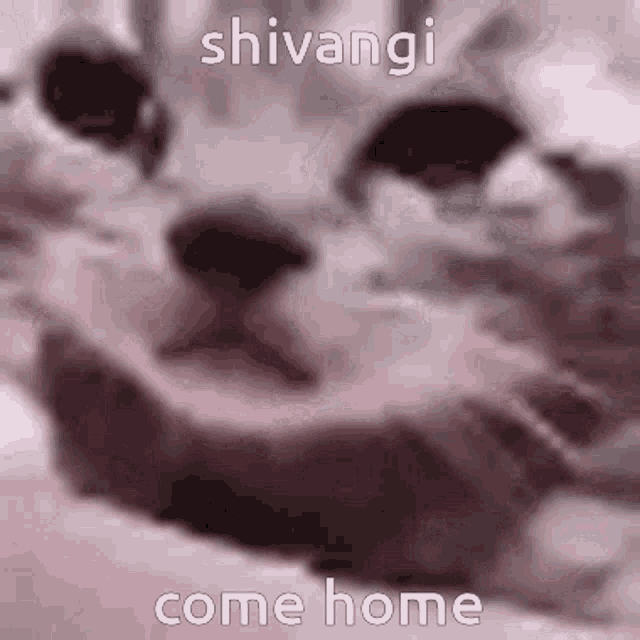 Shivangi Come Home Shivangi I Miss You GIF - Shivangi Come Home Shivangi I Miss You Shivangi GIFs