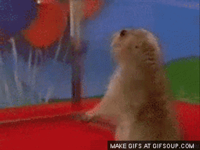 Shock Zoom GIF - Shock Zoom Oh Really GIFs