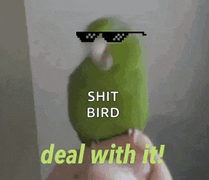 a green parrot wearing sunglasses is being held in someone 's hand .