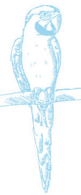 a blue and white drawing of a parrot sitting on a branch