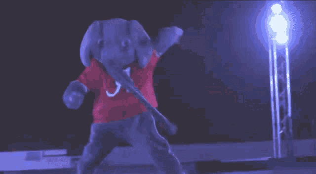 a stuffed elephant wearing a red shirt that says alabama on it