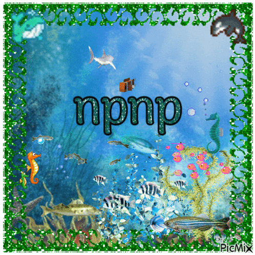 a picture of the ocean with the name npnp