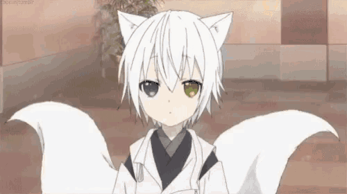 a little boy with white hair and cat ears is wearing a cat costume .