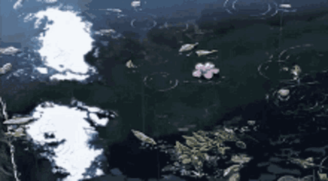 a pink flower is floating in a pond with rain drops