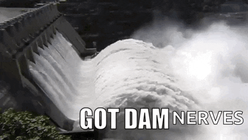 a waterfall is coming down a dam with the words `` got dam nerves '' written above it .