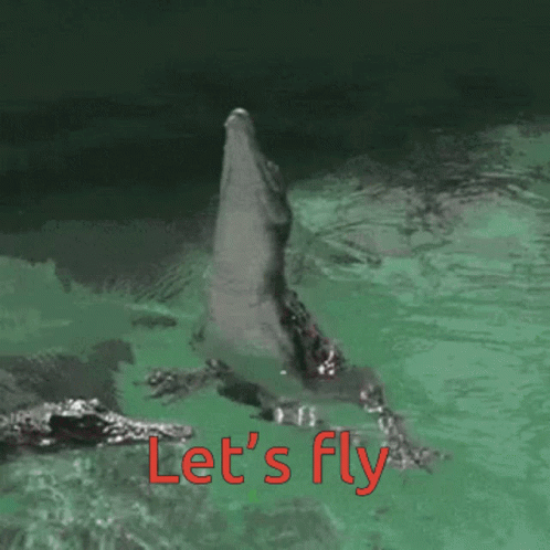 Flying Animals Lets Fly GIF - Flying Animals Lets Fly Crocodile GIFs