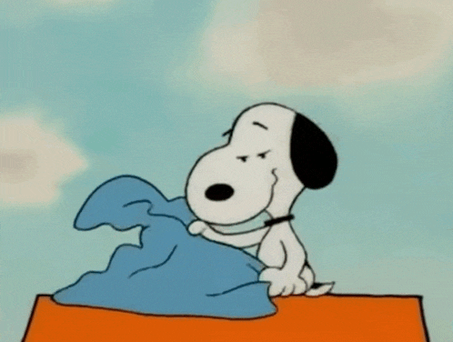 a cartoon of snoopy holding a paper airplane on his head