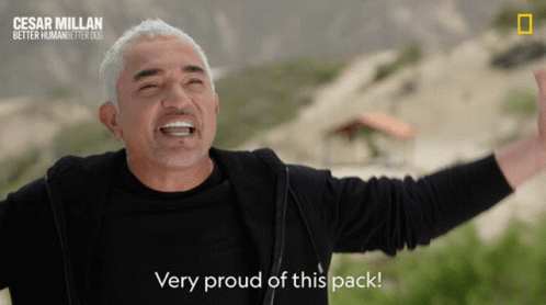Very Proud Of This Pack Cesar Millan GIF - Very Proud Of This Pack Cesar Millan Cesar Millan Better Human Better Dog GIFs