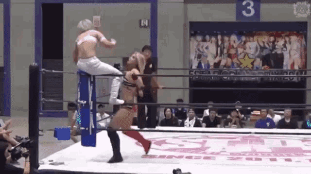 a couple of women are wrestling in a ring .