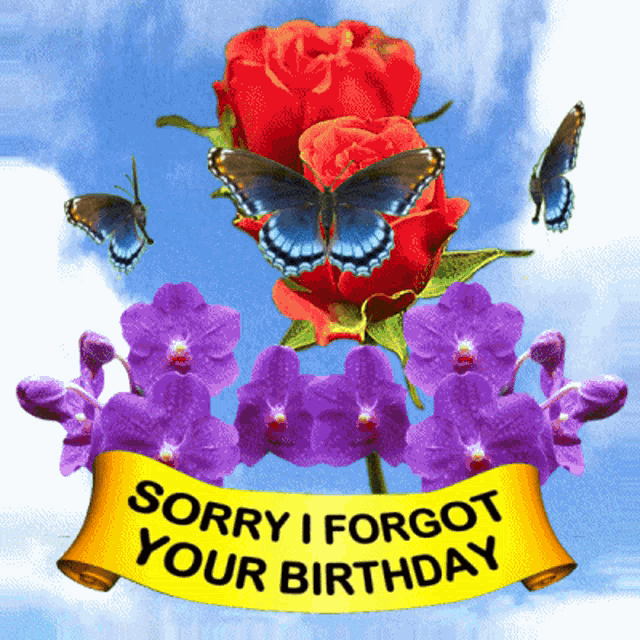 a sorry i forgot your birthday sign with butterflies and flowers