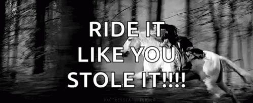 Ride It Like You Stole It Horses GIF - Ride It Like You Stole It Horses Equestrian GIFs