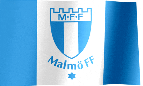 a blue and white flag with malmo ff written on it
