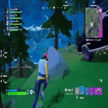a screenshot of a video game with the number 30 on the bottom left