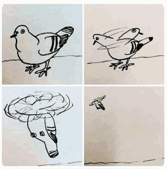a black and white drawing of a pigeon flying in the air