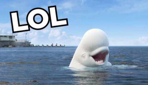 Lol Funny GIF - Lol Funny Whale GIFs