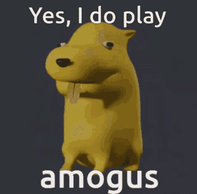 a picture of a dog that says " yes i do play amagus "