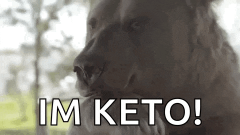 a close up of a bear saying `` i 'm keto '' .